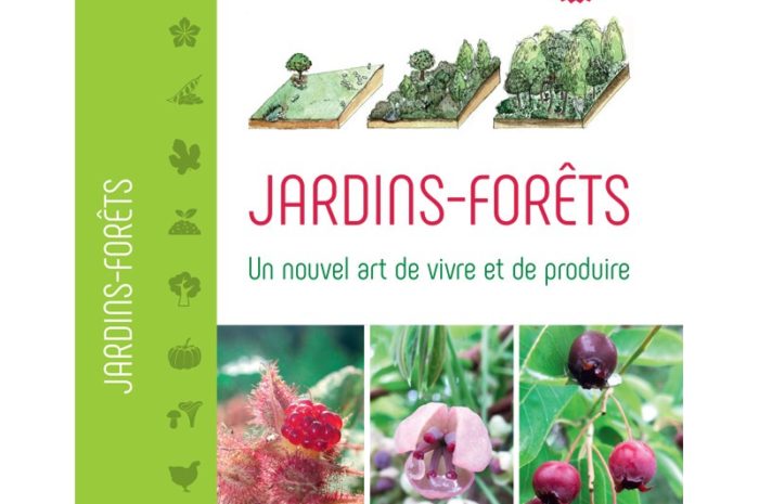Jardin-Forêt : Une Alternative à l’Agriculture