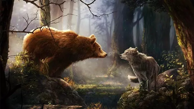Loups et ours, l’impossible cohabitation ?